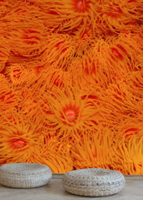 Rtemagicc_tapete-orange-blossom_01