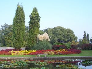 garden2