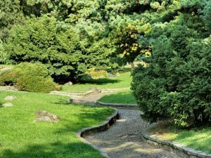 street_in_the_park