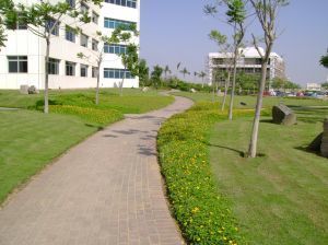 landscape2