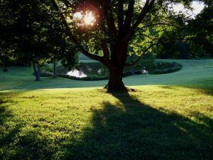 sun_setting_on_big_yard_and_pond_