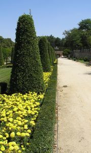 park3