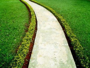 1008940_the_path