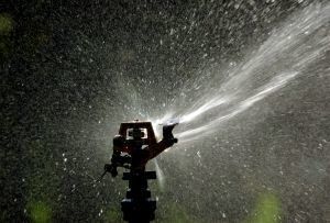 573597_irrigator