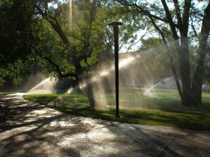 959081_mist_on_the_vanderbilt_lawn