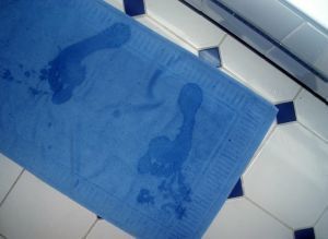 924629_footprints
