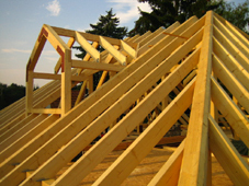 dachbau5