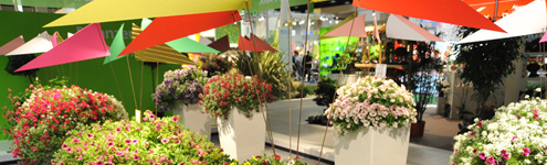 Besuscher_Start_495x150_1